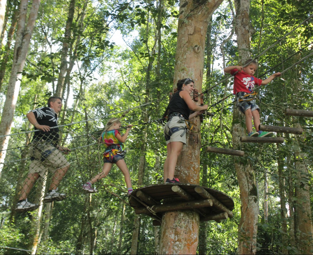 outbound bali tree top