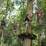 outbound bali tree top