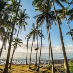 play with oceanfront swing